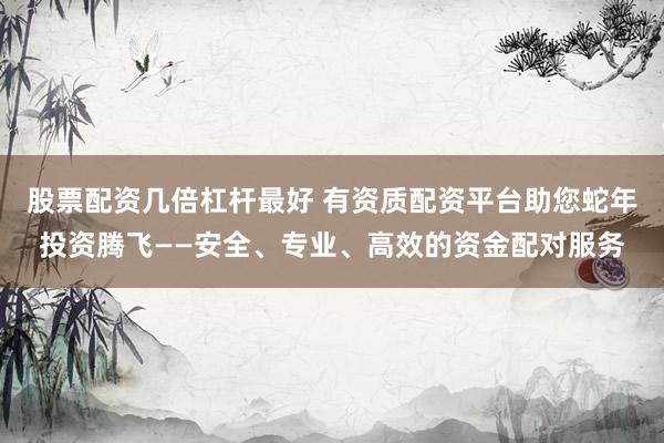 股票配资几倍杠杆最好 有资质配资平台助您蛇年投资腾飞——安全、专业、高效的资金配对服务