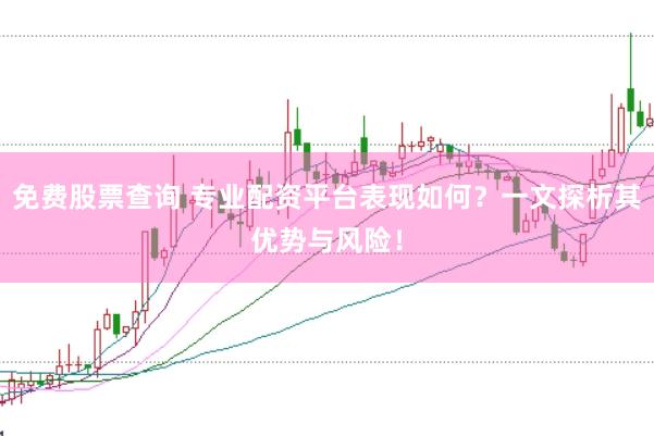 免费股票查询 专业配资平台表现如何？一文探析其优势与风险！