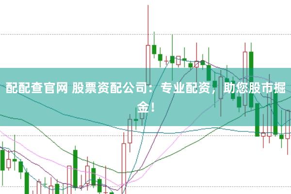 配配查官网 股票资配公司：专业配资，助您股市掘金！