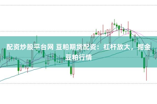 配资炒股平台网 豆粕期货配资：杠杆放大，掘金豆粕行情