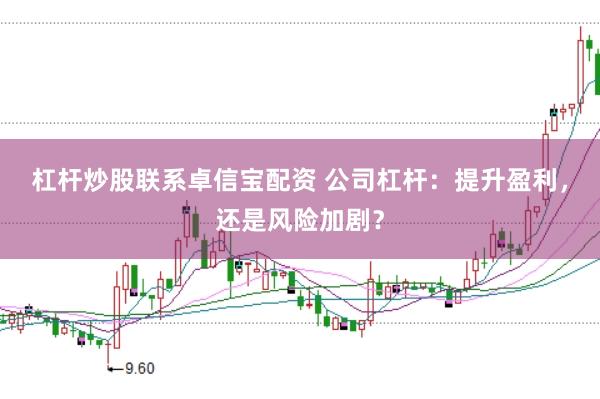 杠杆炒股联系卓信宝配资 公司杠杆：提升盈利，还是风险加剧？