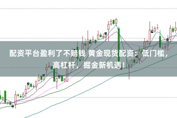 配资平台盈利了不赔钱 黄金现货配资：低门槛，高杠杆，掘金新机遇！