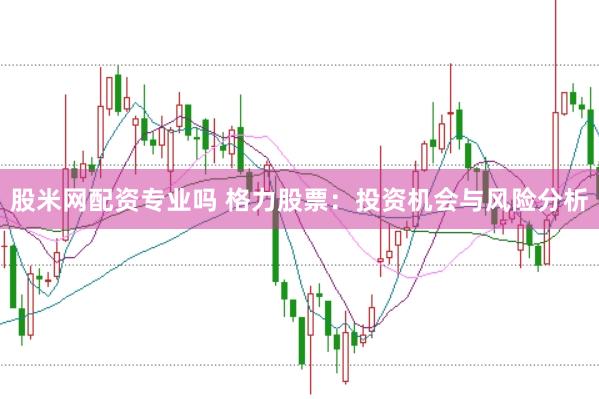 股米网配资专业吗 格力股票：投资机会与风险分析