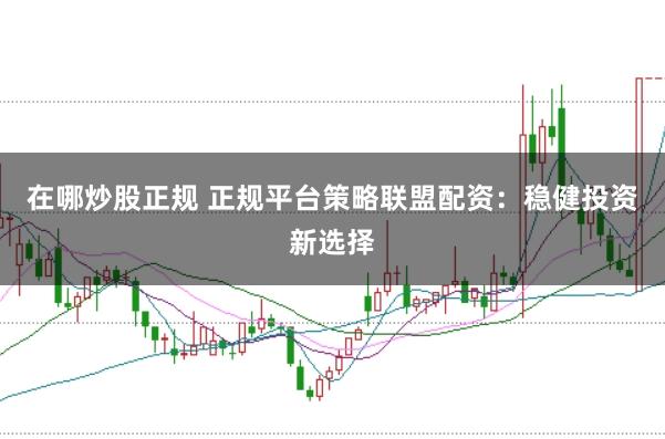 在哪炒股正规 正规平台策略联盟配资：稳健投资新选择