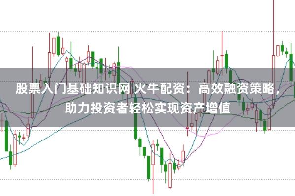 股票入门基础知识网 火牛配资：高效融资策略，助力投资者轻松实现资产增值