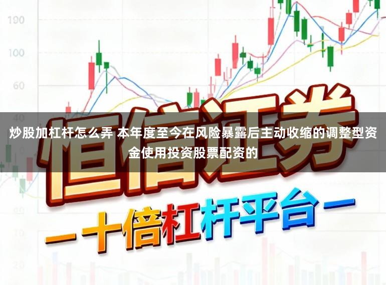 炒股加杠杆怎么弄 本年度至今在风险暴露后主动收缩的调整型资金使用投资股票配资的