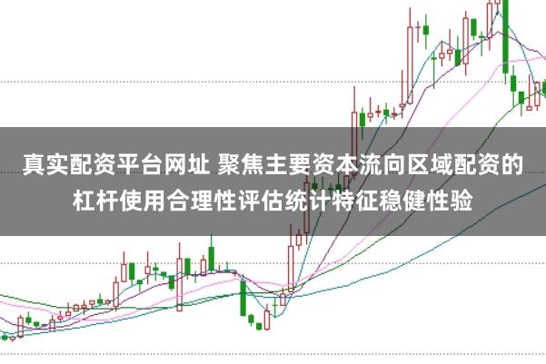 真实配资平台网址 聚焦主要资本流向区域配资的杠杆使用合理性评估统计特征稳健性验