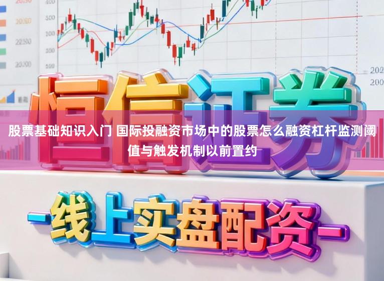 股票基础知识入门 国际投融资市场中的股票怎么融资杠杆监测阈值与触发机制以前置约