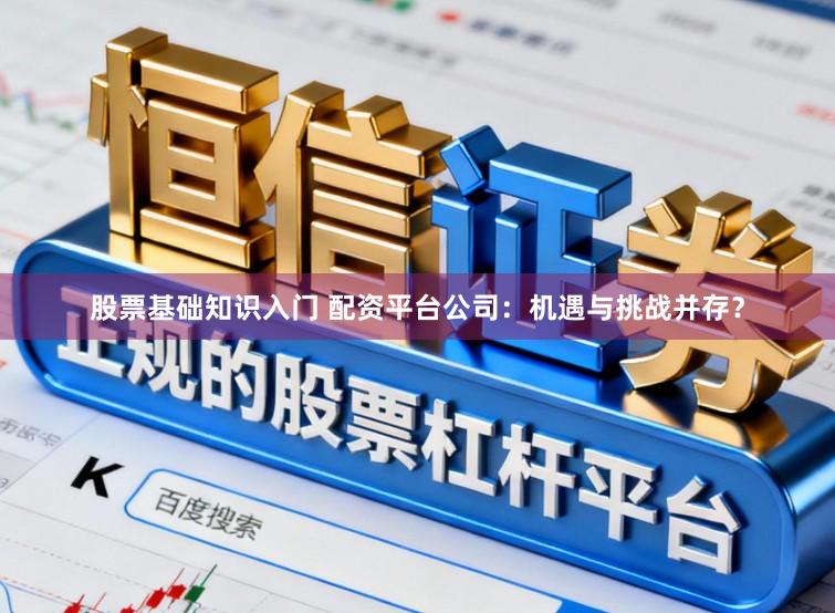 股票基础知识入门 配资平台公司：机遇与挑战并存？